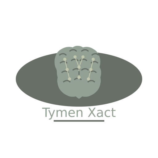 Логотип Tymen Xact